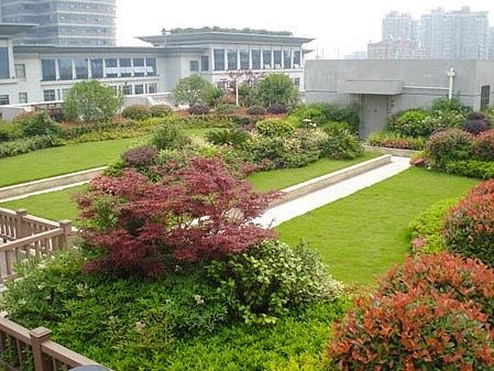 杭州市拱墅区政府大楼屋顶绿化工程 景观与生态的和谐融合