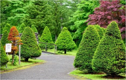 环境守卫者 绿植专业户——乐山市辜氏花木专业合作社的园林绿化工程