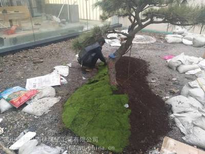 初见园林 专业园林绿化工程与精湛别墅园林施工