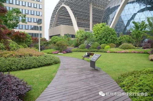 都市绿洲，云端花园——杭州国际博览中心项目屋面园林绿化工程获2016年度杭州市优秀园林绿化工程综合组金奖纪实