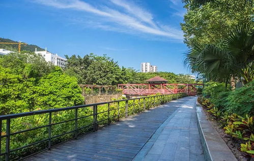 资质取消后，园林绿化工程质量如何保障？