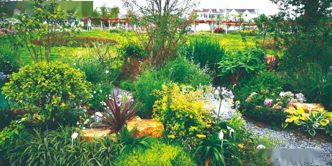 喜讯|我集团揽获山东省园林绿化行业第一届花境职业技能竞赛园林绿化工程奖项