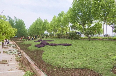 推窗见绿 出门见景 孝昌加快绿化美化，提升城市“颜值”