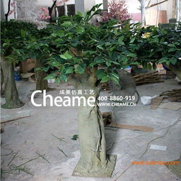 广东深圳成美仿真秋茄树生产厂家 园林绿化工程的优质选择